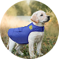 Camisetas para Perros